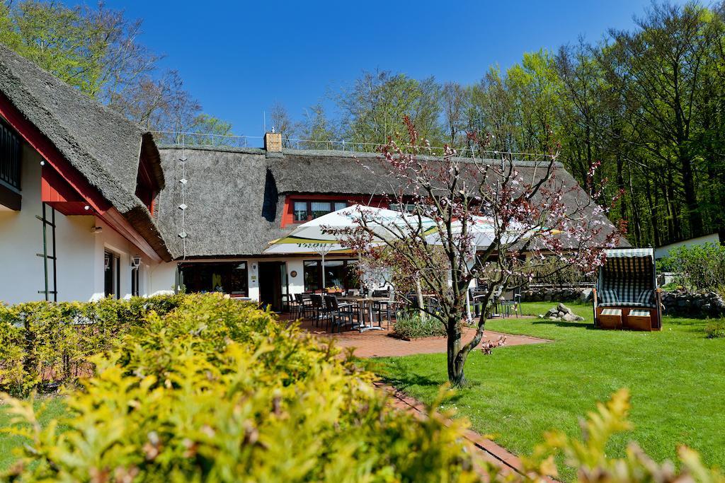 זאסניץ Restaurant & Hotel Baumhaus Hagen מראה חיצוני תמונה